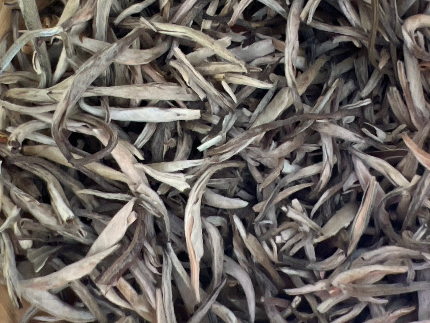 Jasmine Silver Needle White Tea – Mo Li Bai Hao Yin Zhen