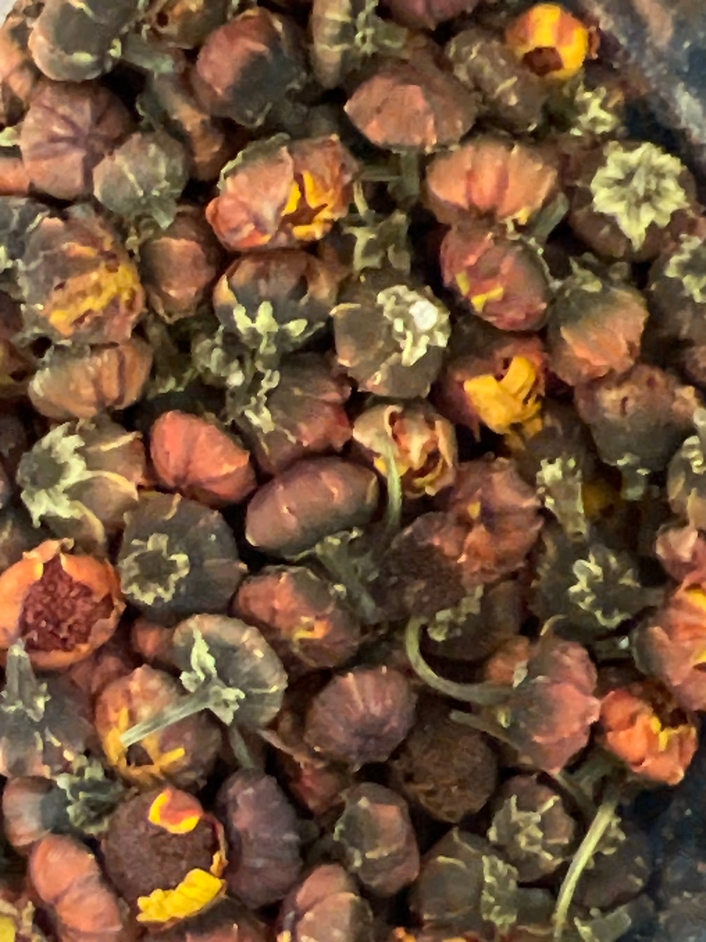 Xiu Ye Tai Zu (closed chrysanthemum)