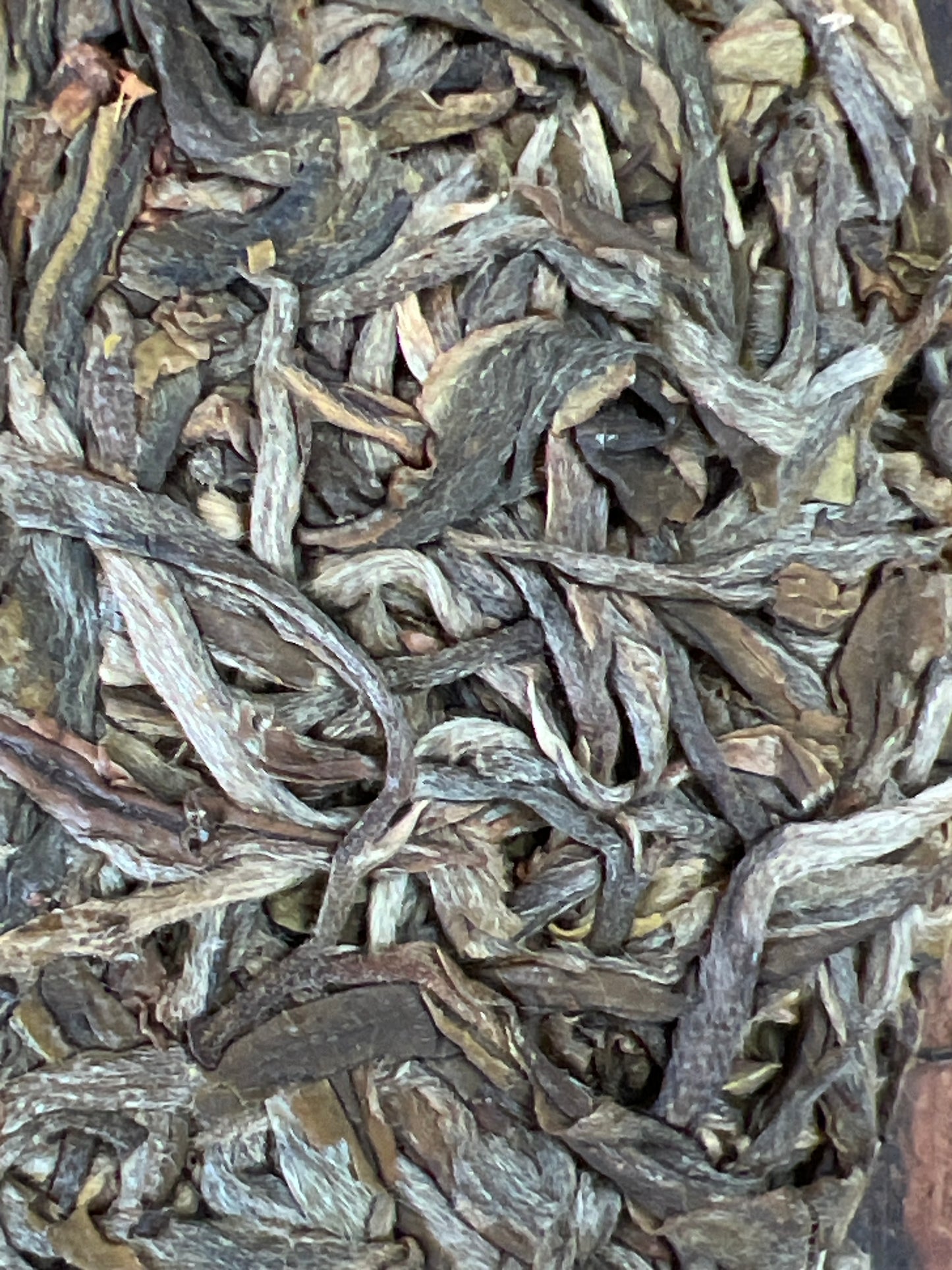 CHKP 3 Gu Shu Mi Lin 2018