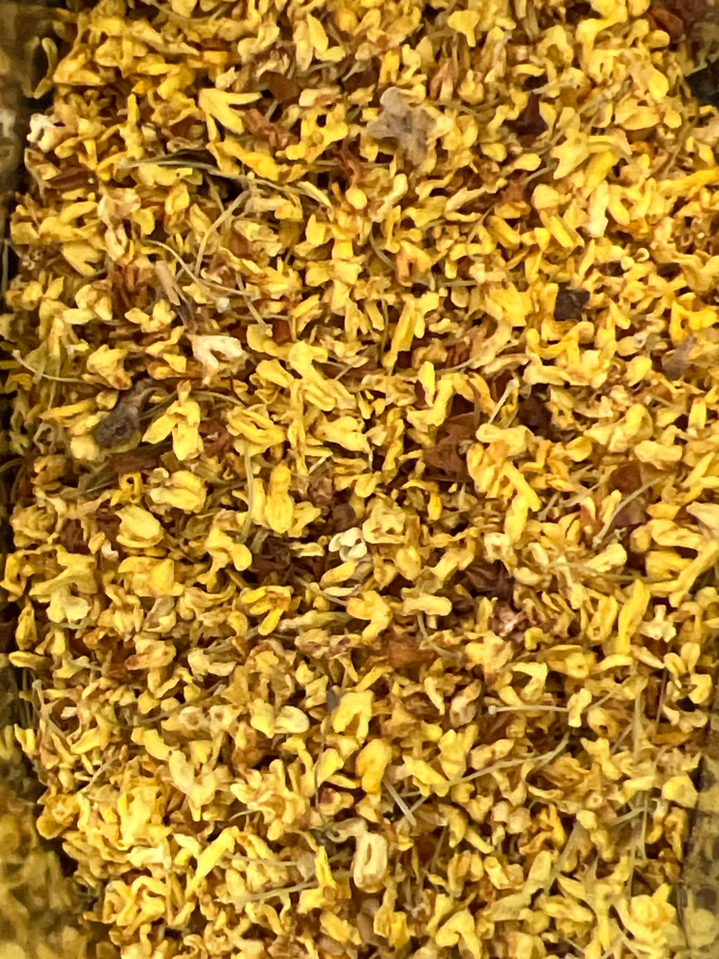 Jin Goi Hua (golden osmanthus)