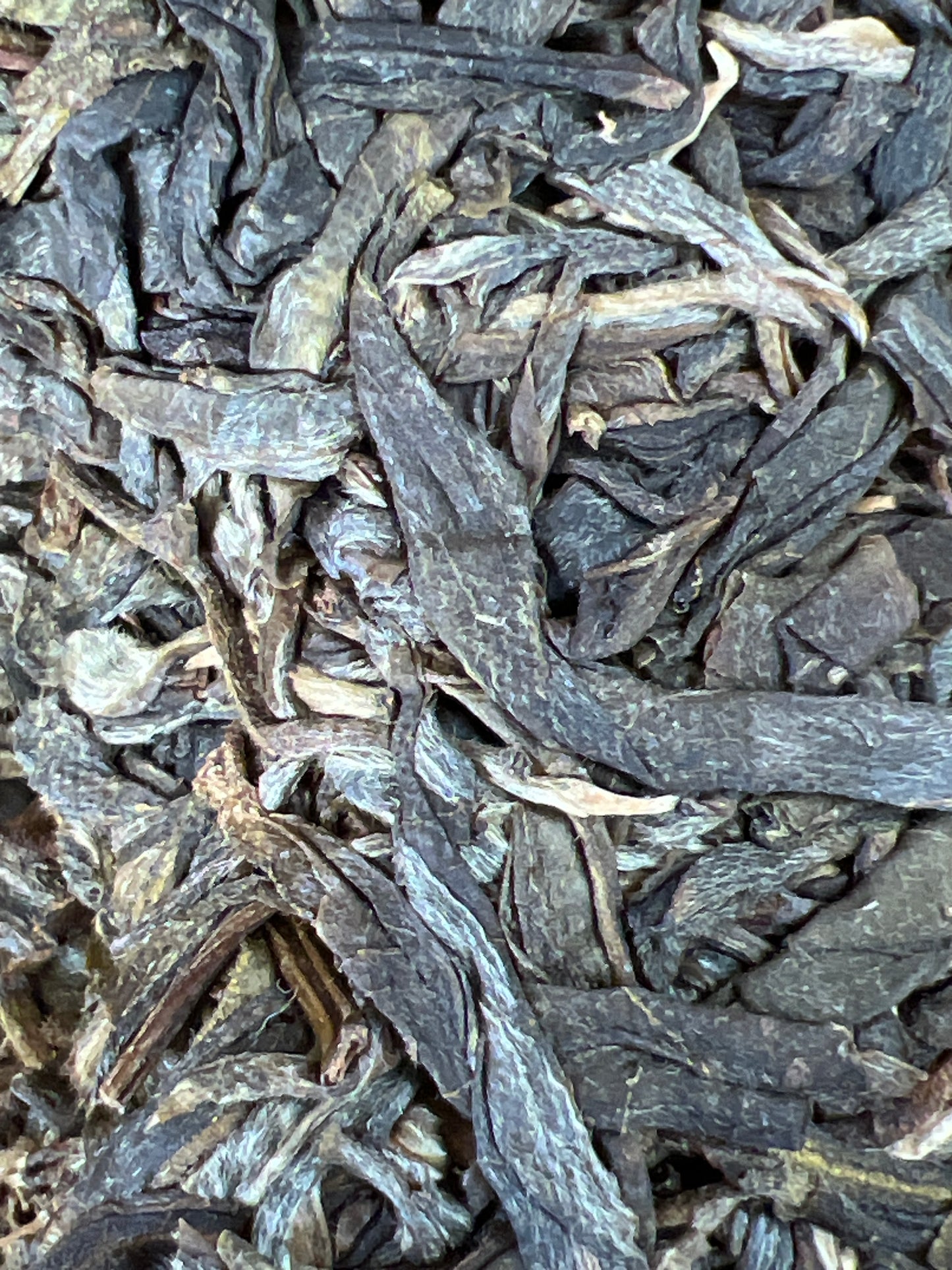 CHKP 1 Wu Liang Mi Jin 2018