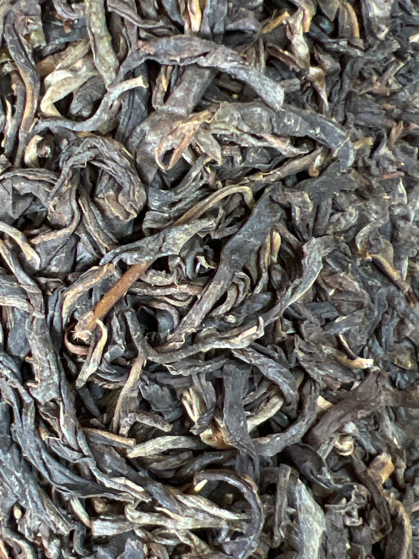 CHKP Shen Jin Mai