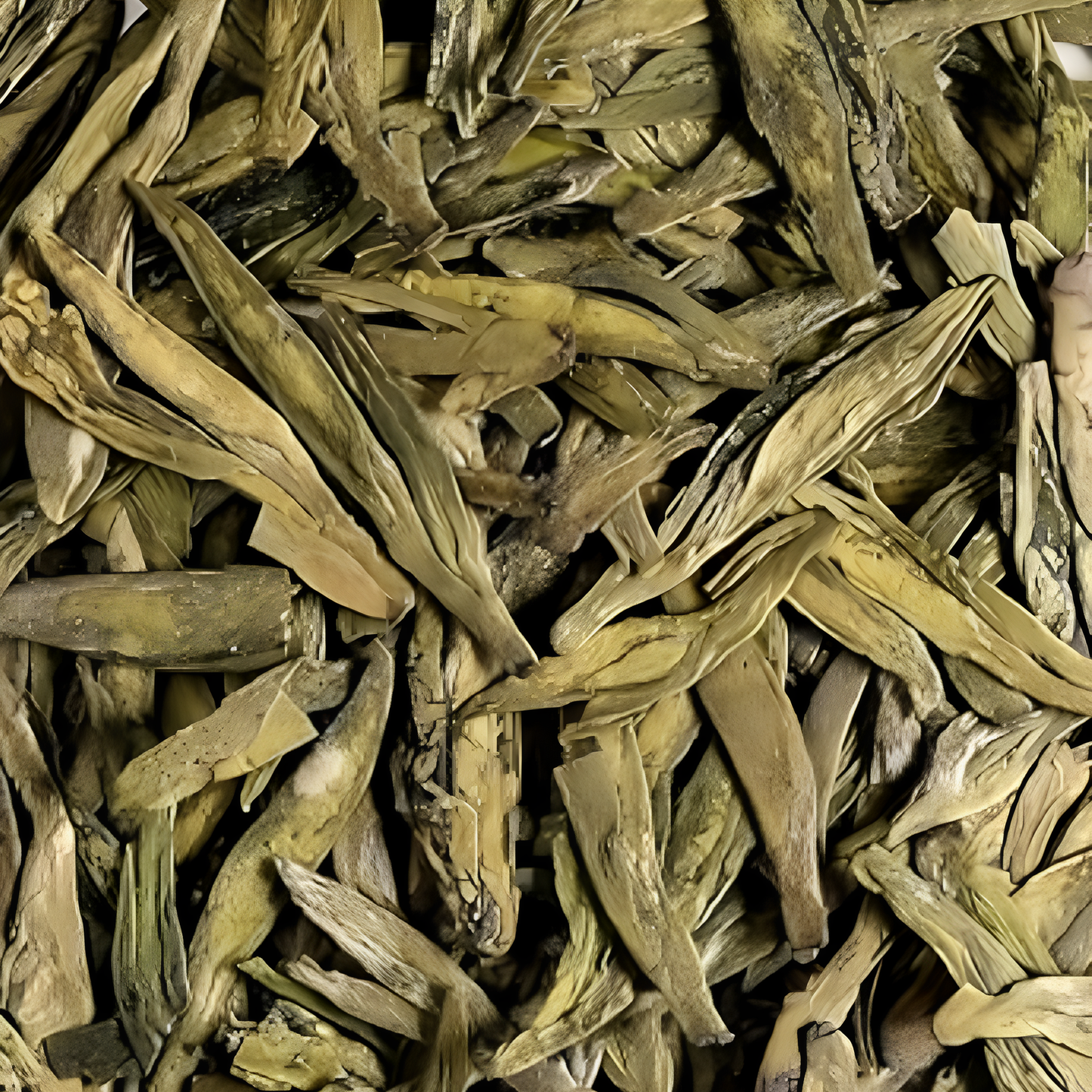 Long Jin from Zhejiang